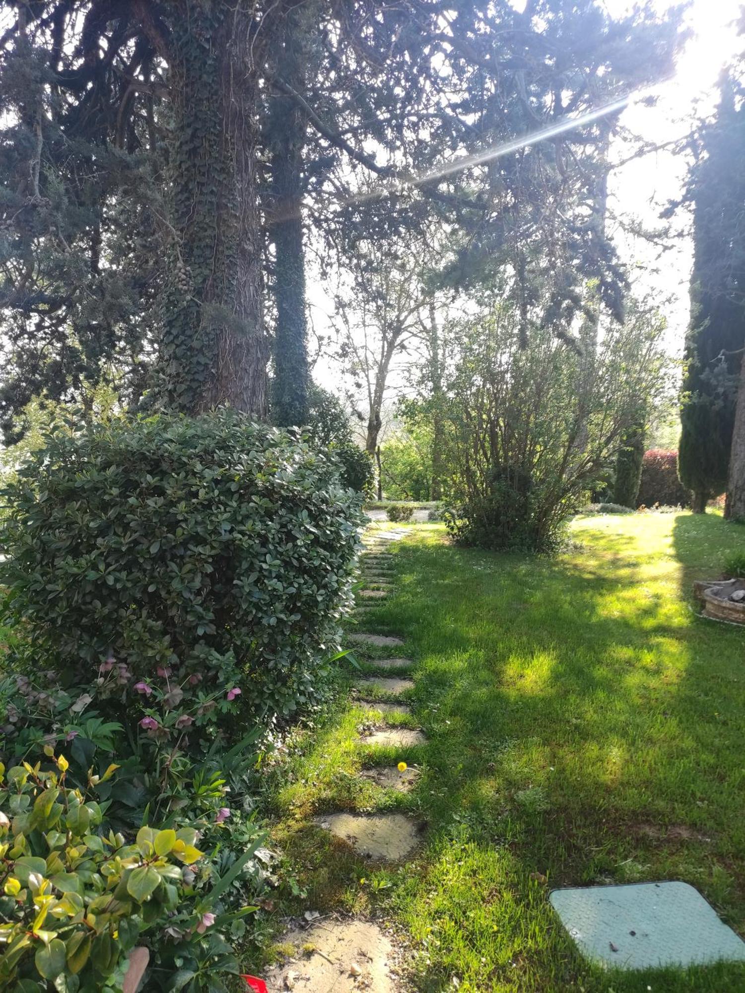La Pergola Bed and Breakfast Becedasco Exteriör bild