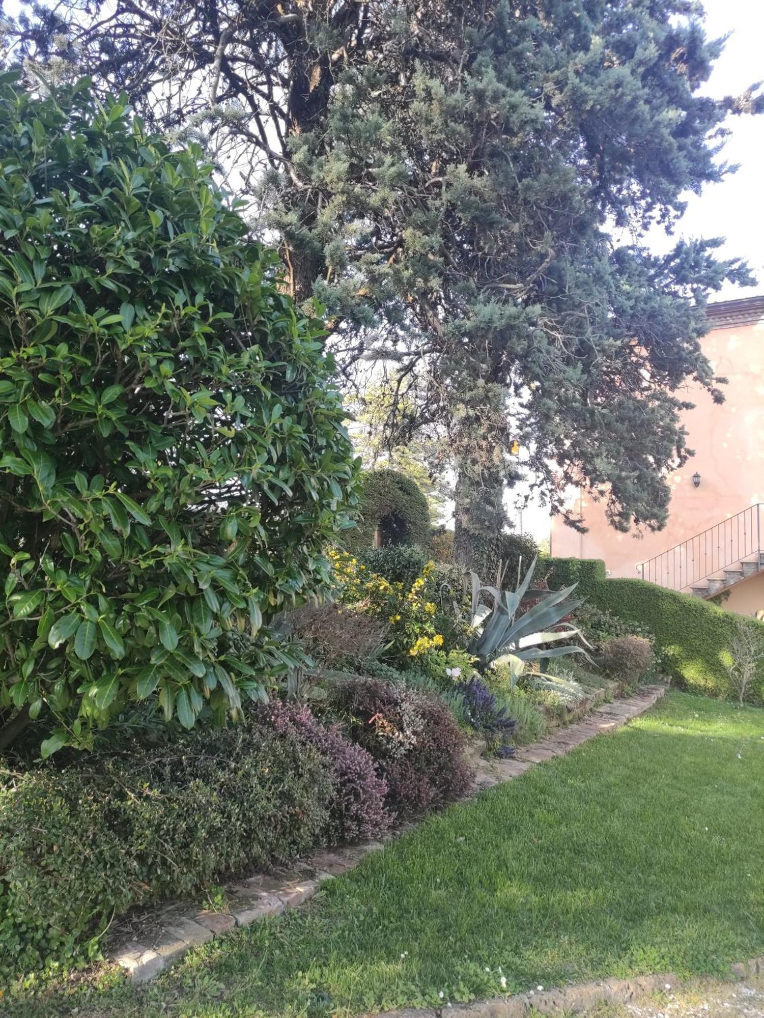 La Pergola Bed and Breakfast Becedasco Exteriör bild
